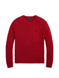 Polo Ralph Lauren Driver sweater